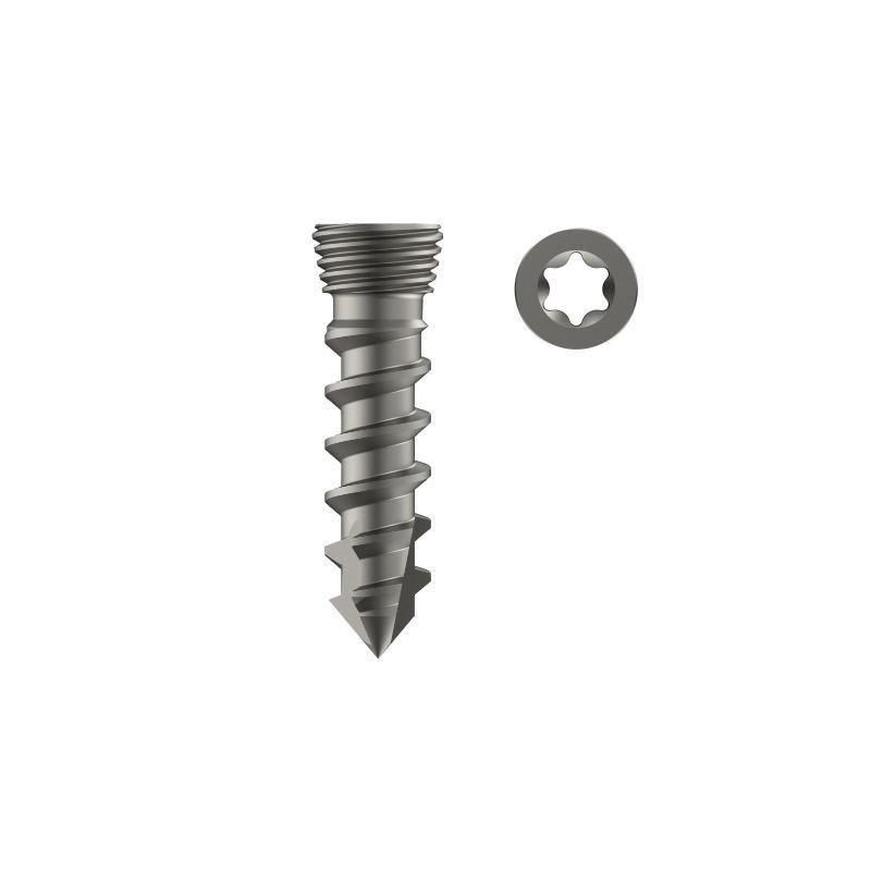 ACDF Standalone Locking Screw Self Drilling - Titanium