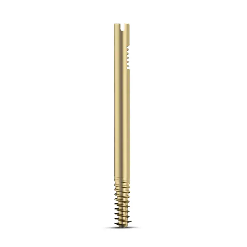 Intertan-Nail-Cannulated-LAG-Screw-Dia.-11mm-Titanium