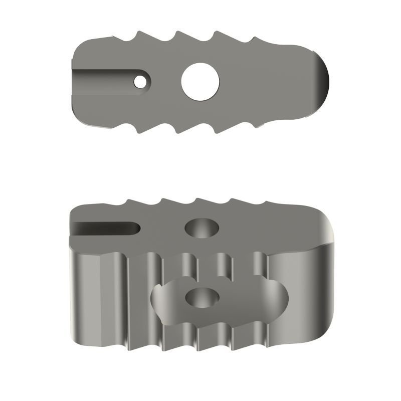 PILIFIC™ PLIF Cage (Convex Nose) - Titanium