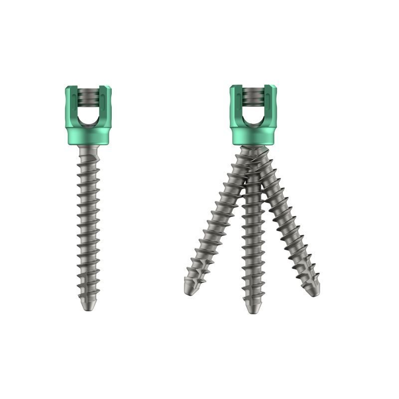 PEDILUX<sup>TM</sup> Polyaxial R-Line Pedicle Screw - Titanium